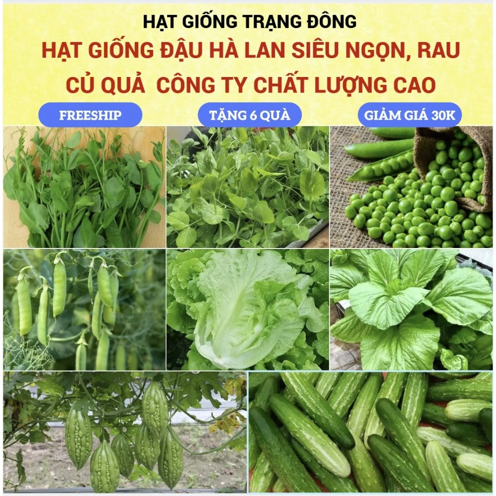 Hạt Rau Mầm Các Loại